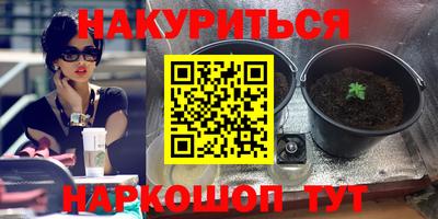 эйфоретик Камышлов