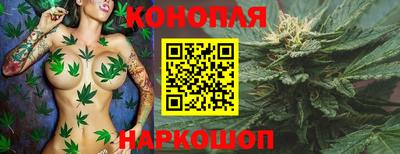 эйфоретик Камышлов