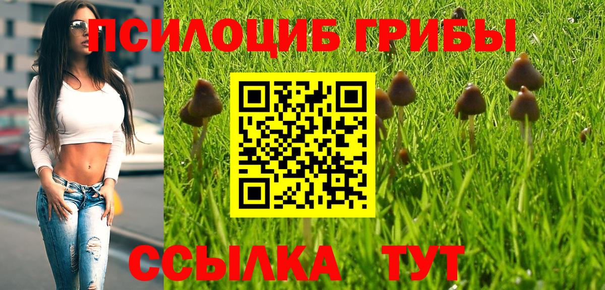Галлюциногенные грибы MAGIC MUSHROOMS Гусиноозёрск
